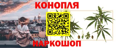 ПСИЛОЦИБИНОВЫЕ ГРИБЫ Гусев