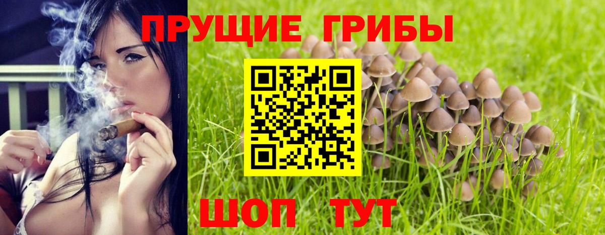 Псилоцибиновые грибы мицелий Кушва